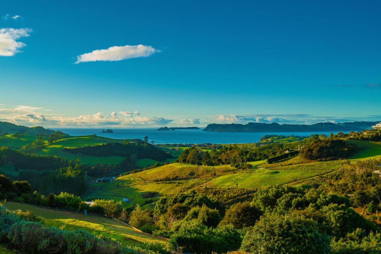 Bayview Valley Lodge Bed & Breakfast Whitianga Dış mekan fotoğraf