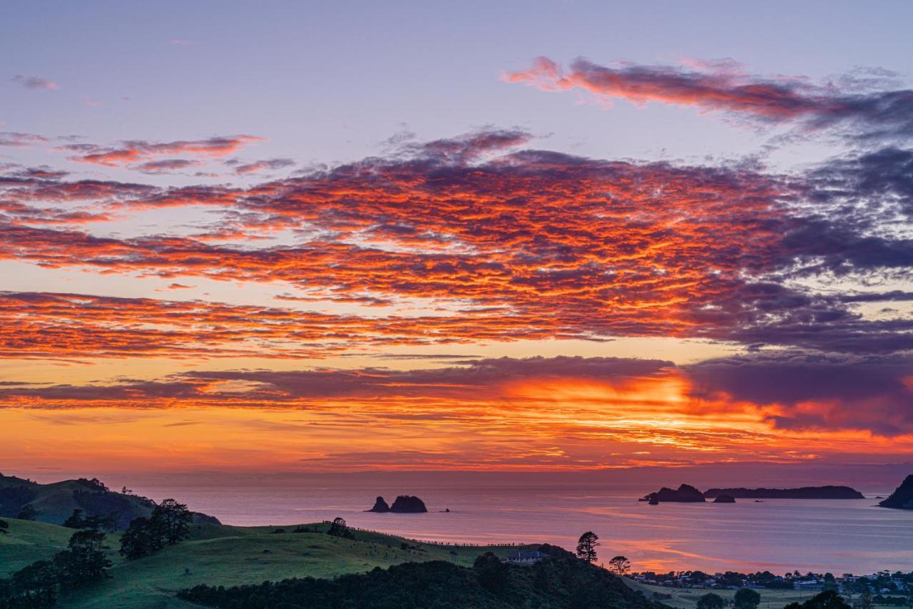 Bayview Valley Lodge Bed & Breakfast Whitianga Dış mekan fotoğraf