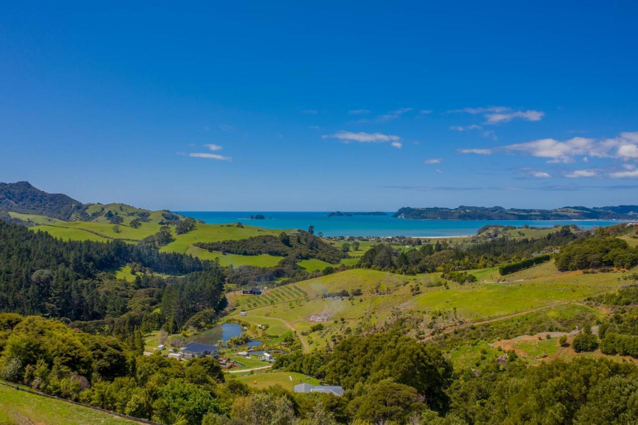 Bayview Valley Lodge Bed & Breakfast Whitianga Dış mekan fotoğraf
